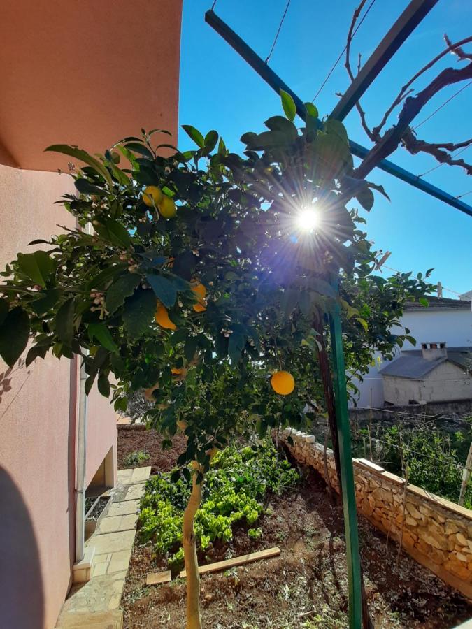 Apartments Ljulj تروغير المظهر الخارجي الصورة